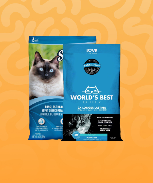 飛機 杯 款式 - user testimonial aircraft cup Hong Kong