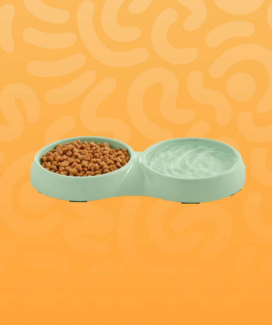 tenga japan - Professional Guide and Review