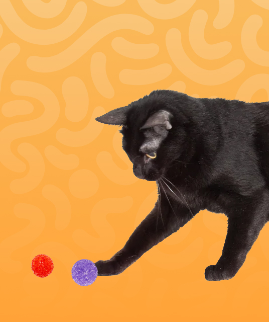 irontech doll - EVO skeleton articulated joints silicone doll