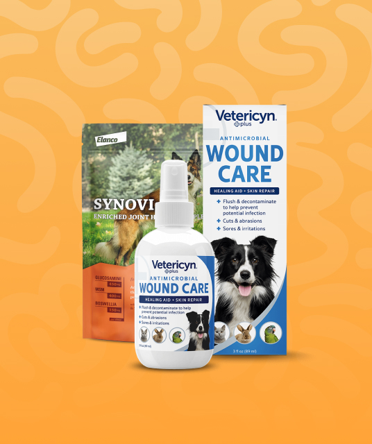 佐 仓 绊 - male customer testimonial adult toy hong kong