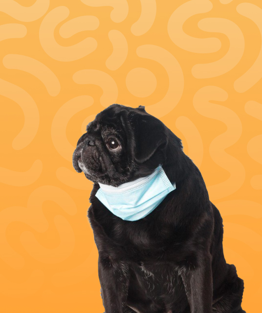 best delay spray line up