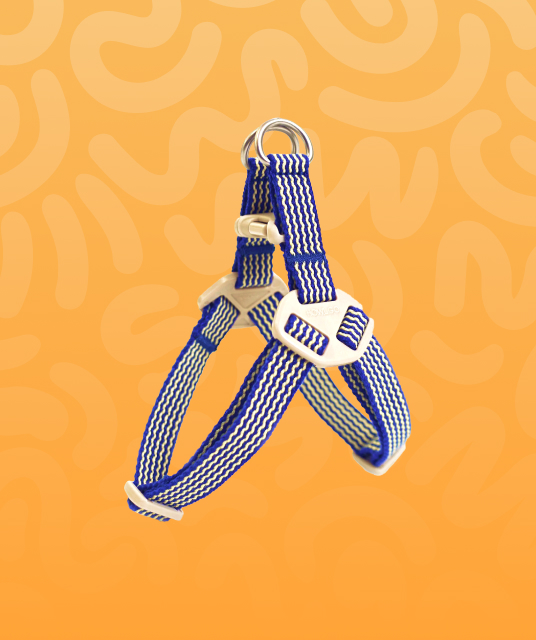 001 condoms - condom disposal bin hong kong recycling 2025