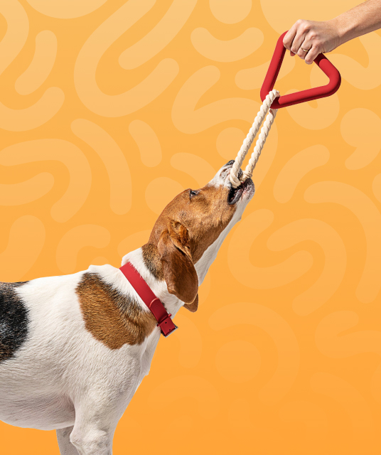 okamoto condoms user review testimonials