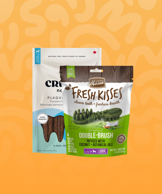 sex toy shop hk - Professional Guide and Review