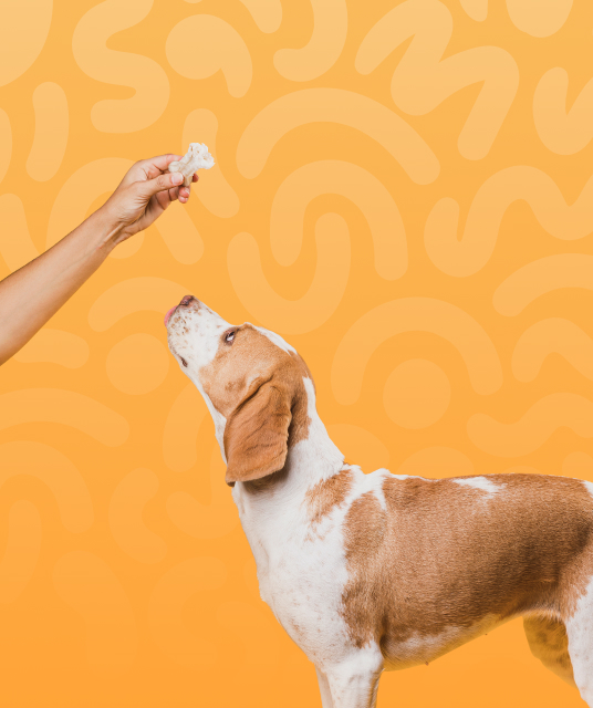 taboom - sm bundle kit hong kong 2025