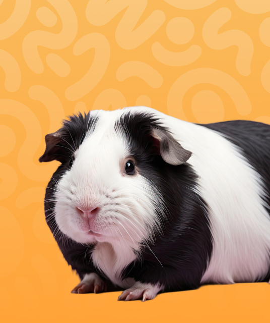 蕾絲 內衣 - washing lace lingerie in basin