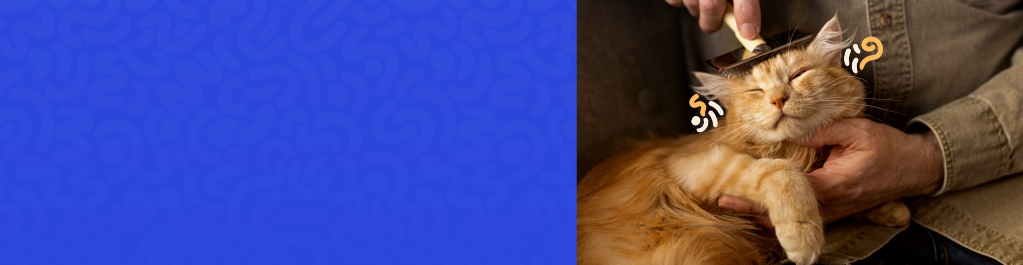 tenga japan elastomer texture cross section 2025