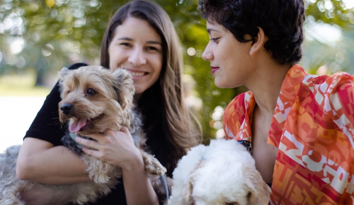 仿真 陰道 - 專業指南和評測