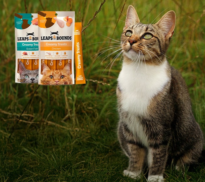 旺角 成人 用品 店 - young couple buying adult toys Hong Kong night