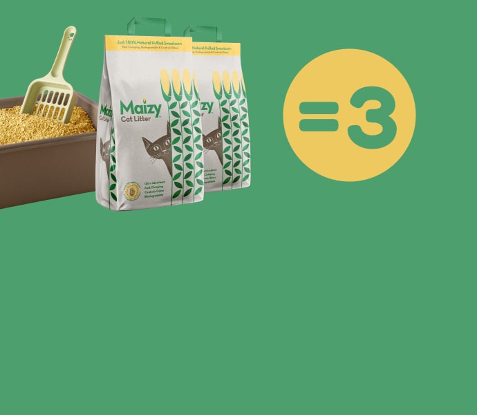 肛 珠 - 專業指南和評測