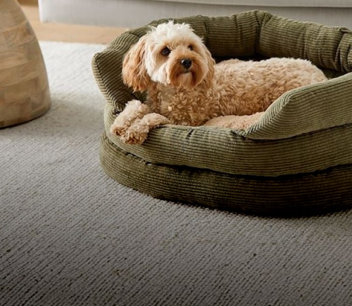 okamoto condoms discreet packaging delivery Hong Kong