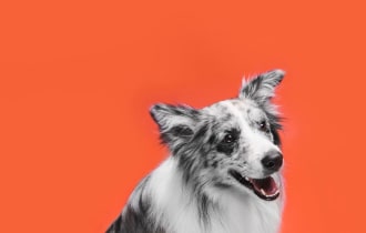 性爱 娃娃 - 專業指南和評測