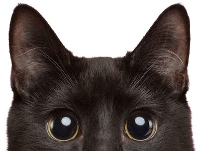 tenga egg vs fleshlight size comparison 2025