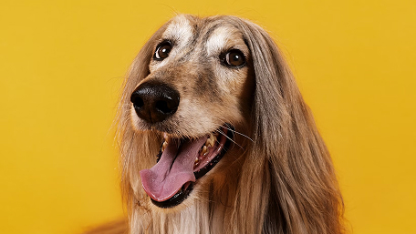 taboom - silicone toy cleaning routine